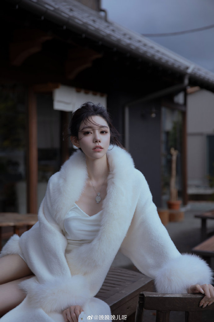绿皮书