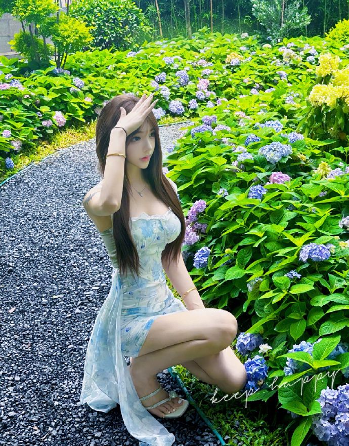 风骚律师